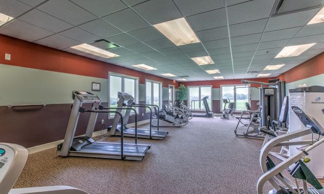 A spacious gym with treadmills and ellipticals lined up in a well-lit room.