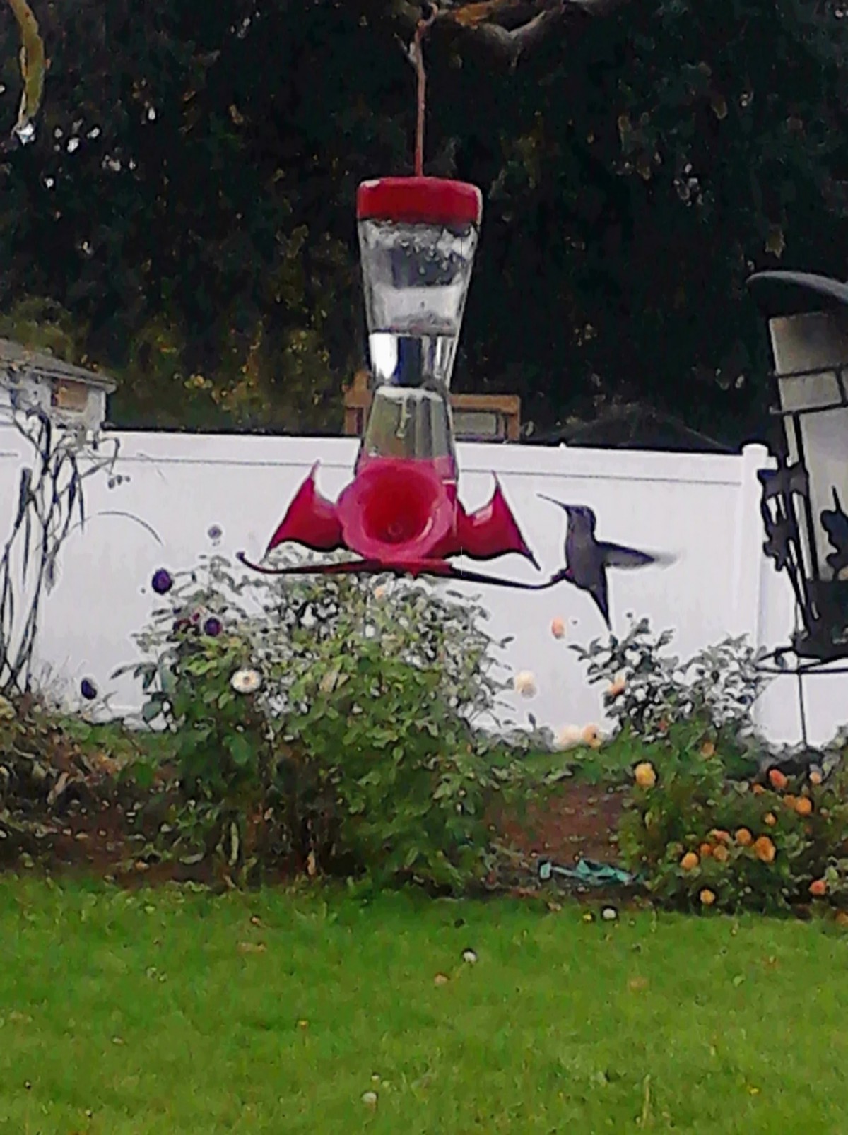 Hummingbird Holistic Care Home,  LLC