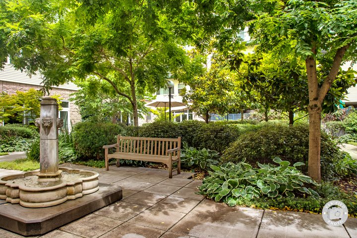 Tranquil garden setting with a wooden bench and lush greenery.