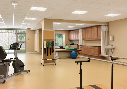 A modern rehabilitation center equipped with various exercise tools and a spacious layout, designed for physical therapy activities.