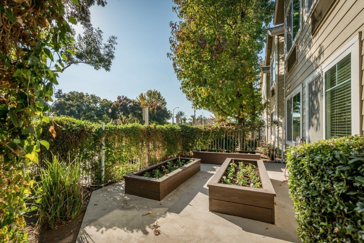 A sunny backyard with raised garden beds and lush greenery.