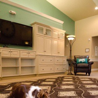 A cozy living room with a TV, shelving unit, armchair, and a playful dog on the rug.