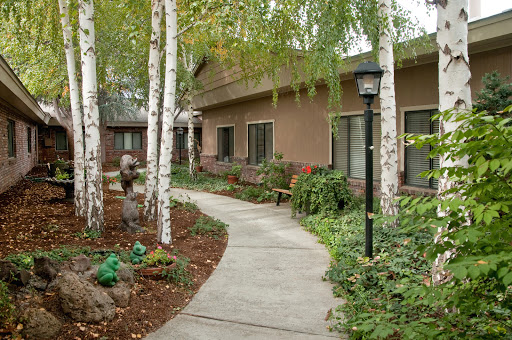 A serene outdoor walkway surrounded by lush landscaping and trees.