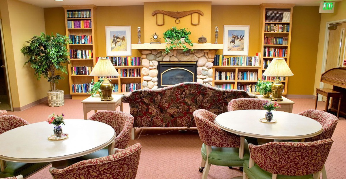 A cozy living room with a fireplace, surrounded by bookshelves and comfortable seating.