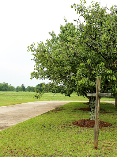 A peaceful countryside scene featuring a winding road and lush greenery.