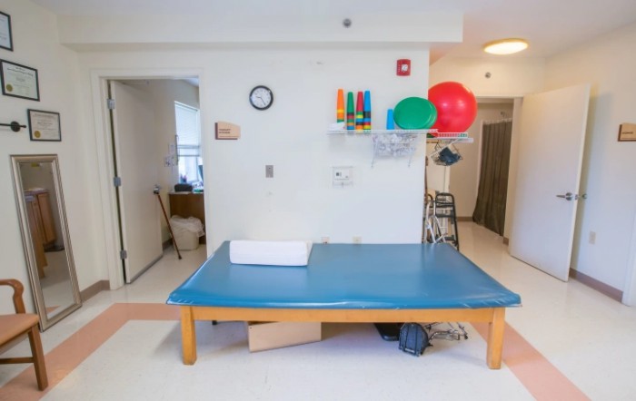 A physical therapy room equipped with a therapy table and exercise equipment.