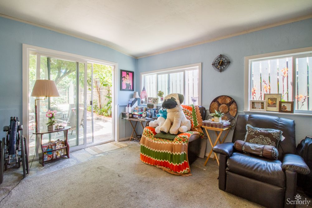 A cozy living room featuring a large stuffed animal on a sofa, bathed in natural light from the windows and sliding door.