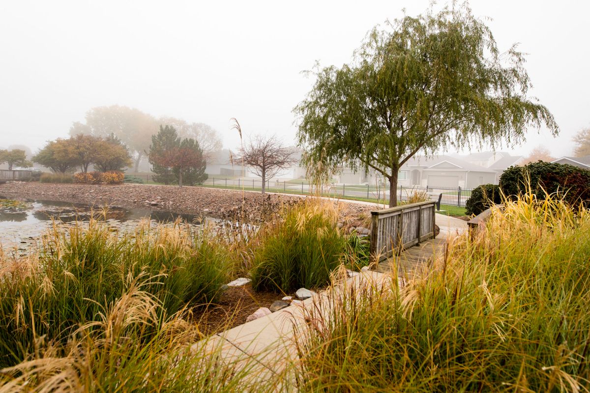 A tranquil foggy morning view of a park with trees and a winding pathway.