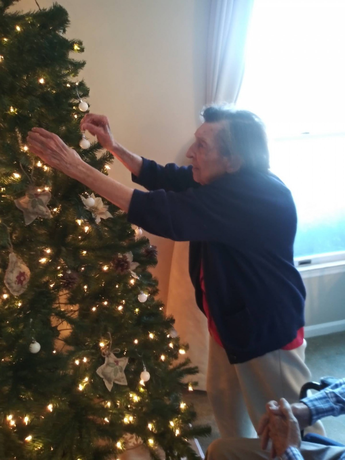 A person decorating a Christmas tree with lights and ornaments.