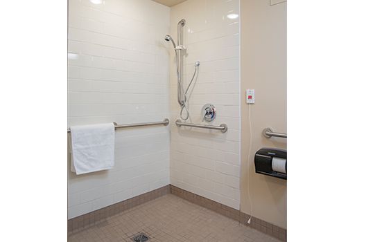 An accessible bathroom with grab bars and a handheld showerhead.
