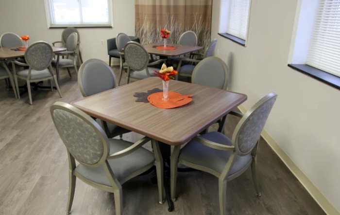 Newfane Rehab & Health Care Center