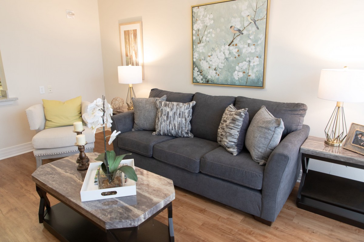 A cozy living room featuring a grey sofa with patterned cushions, a decorative coffee table, and wall art.