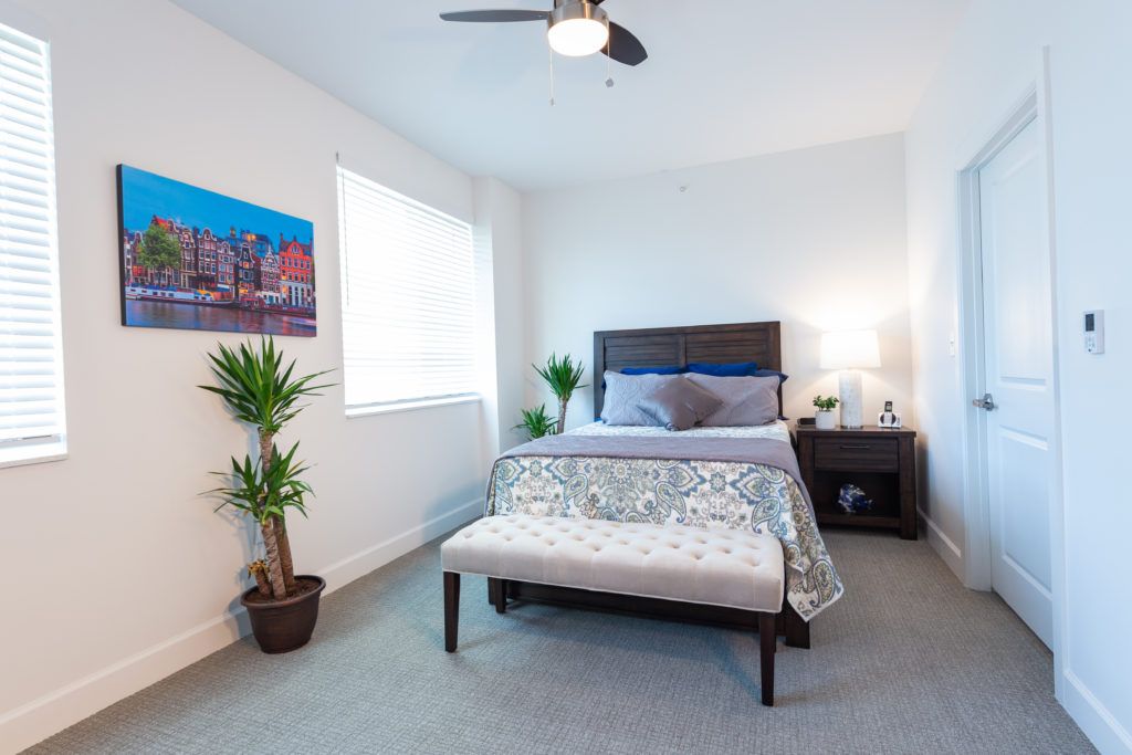 A modern and minimalist bedroom featuring a cozy bed, nightstand with a lamp, indoor plants, and wall artwork.