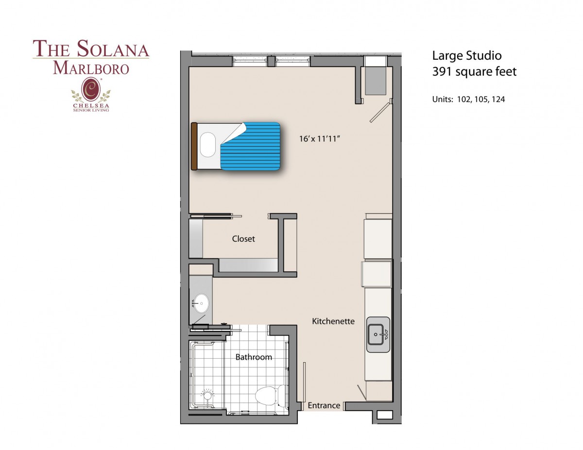 Floor plan of a large studio apartment with bedroom, living area, kitchen, and bathroom.