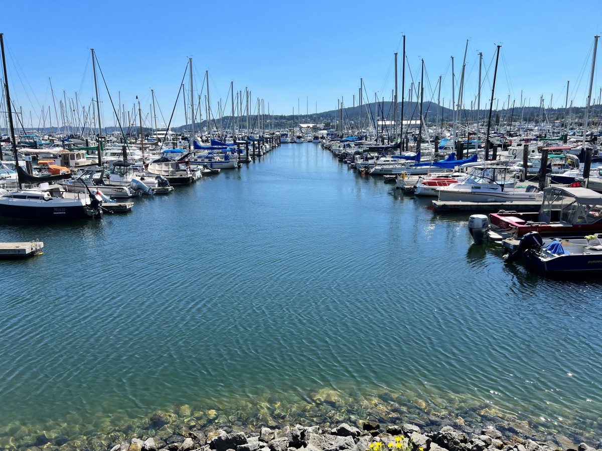 A tranquil marina filled with sailboats under a clear blue sky.