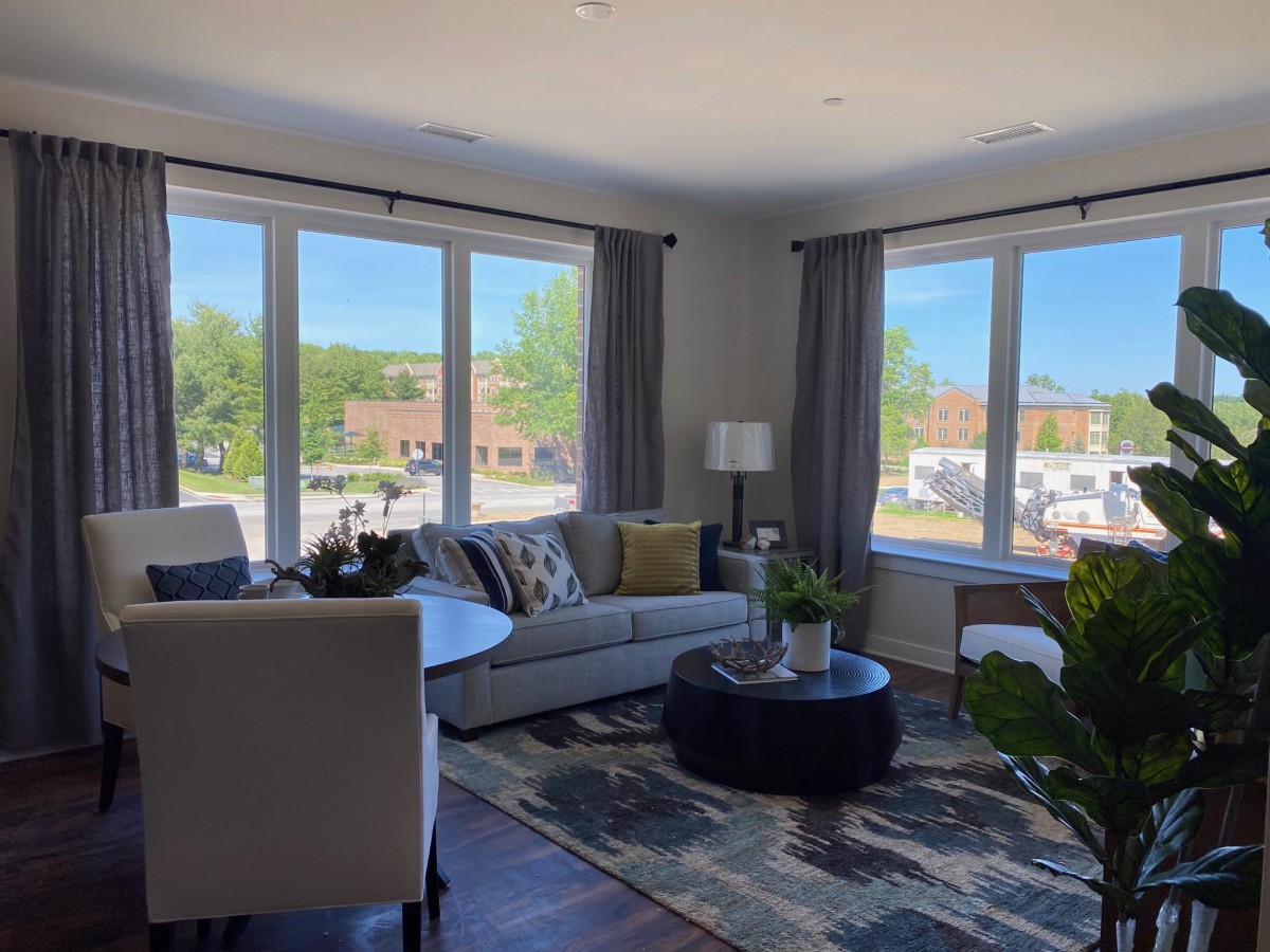 A bright and cozy living room with large windows, modern furniture, and a touch of greenery.