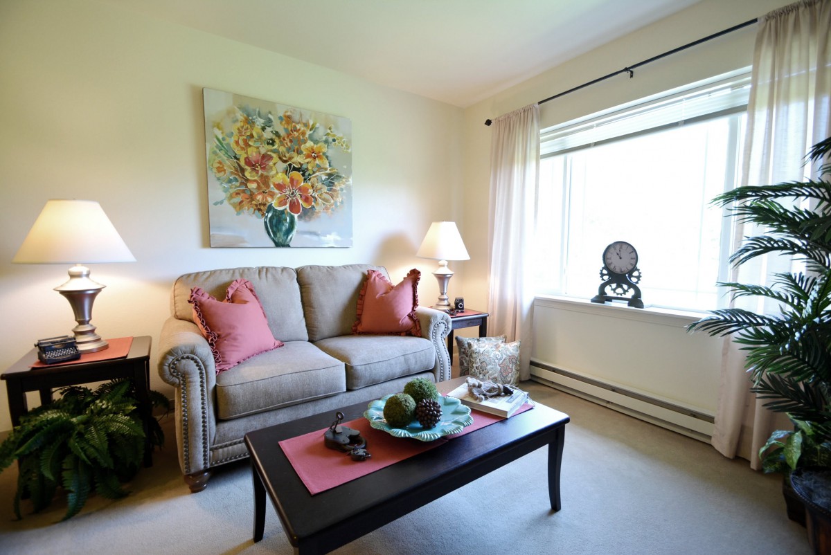 A cozy living room with a sofa, coffee table, and decorative elements.