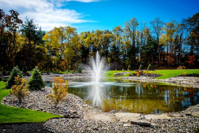 A tranquil landscape featuring a fountain in the middle of a pond, surrounded by trees and a clear blue sky.