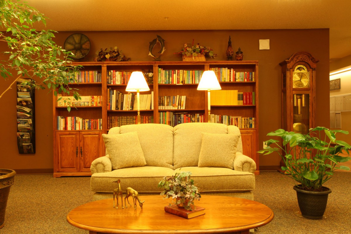A cozy living room with bookshelves filled with books, a comfortable sofa, and warm lighting.