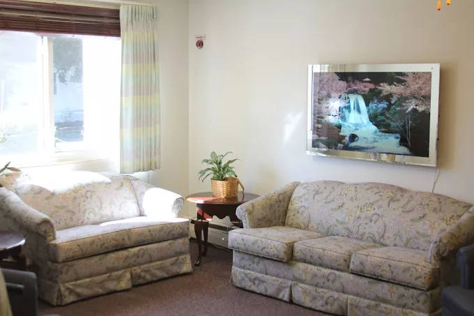 A cozy living room with two patterned sofas, a plant on a side table, and a painting on the wall.