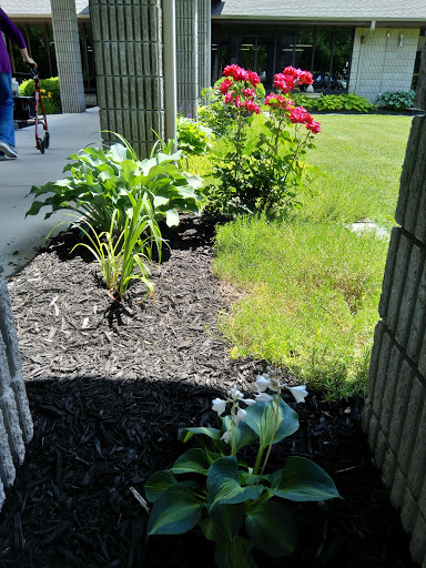 Willow Care Nursing Home