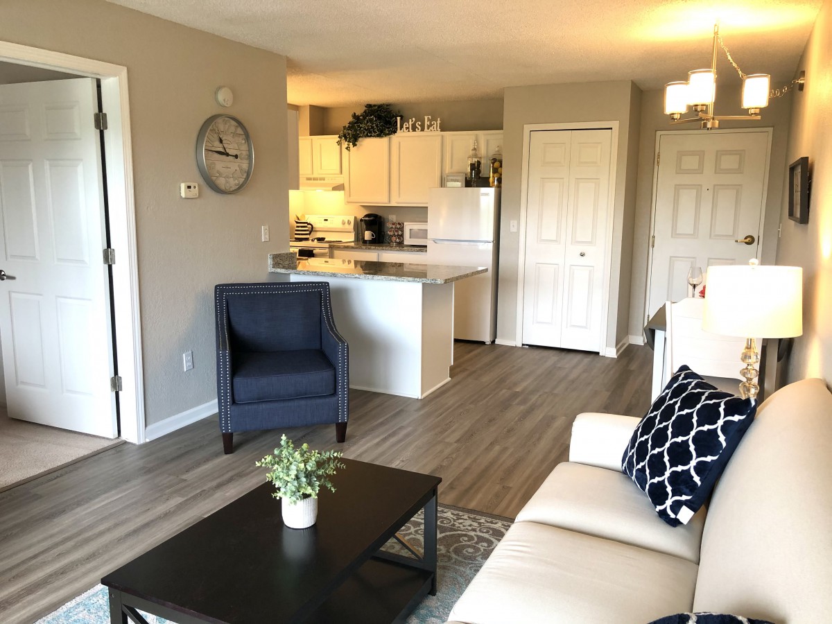 A modern open-concept living room with a view into the kitchen, featuring sleek furniture and wood flooring.