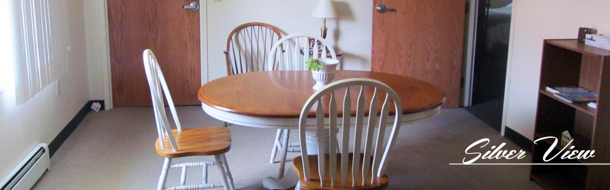 Silver View Assisted Living