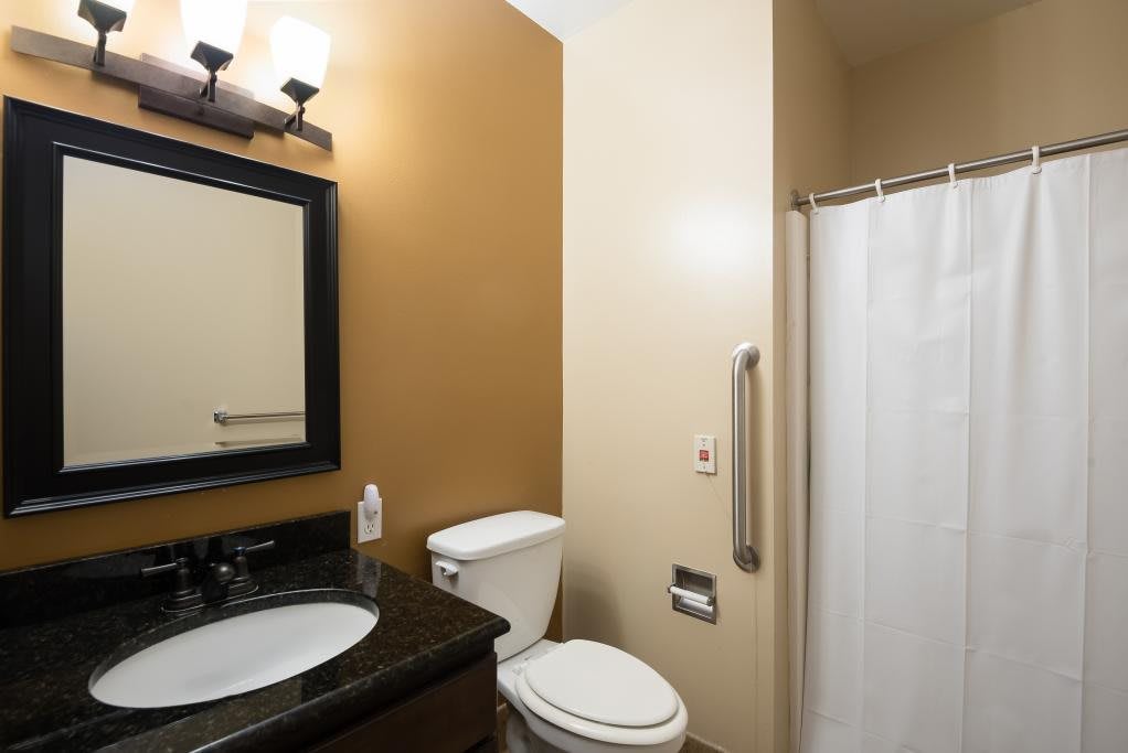 A modern bathroom with a sink, mirror, toilet, and shower.