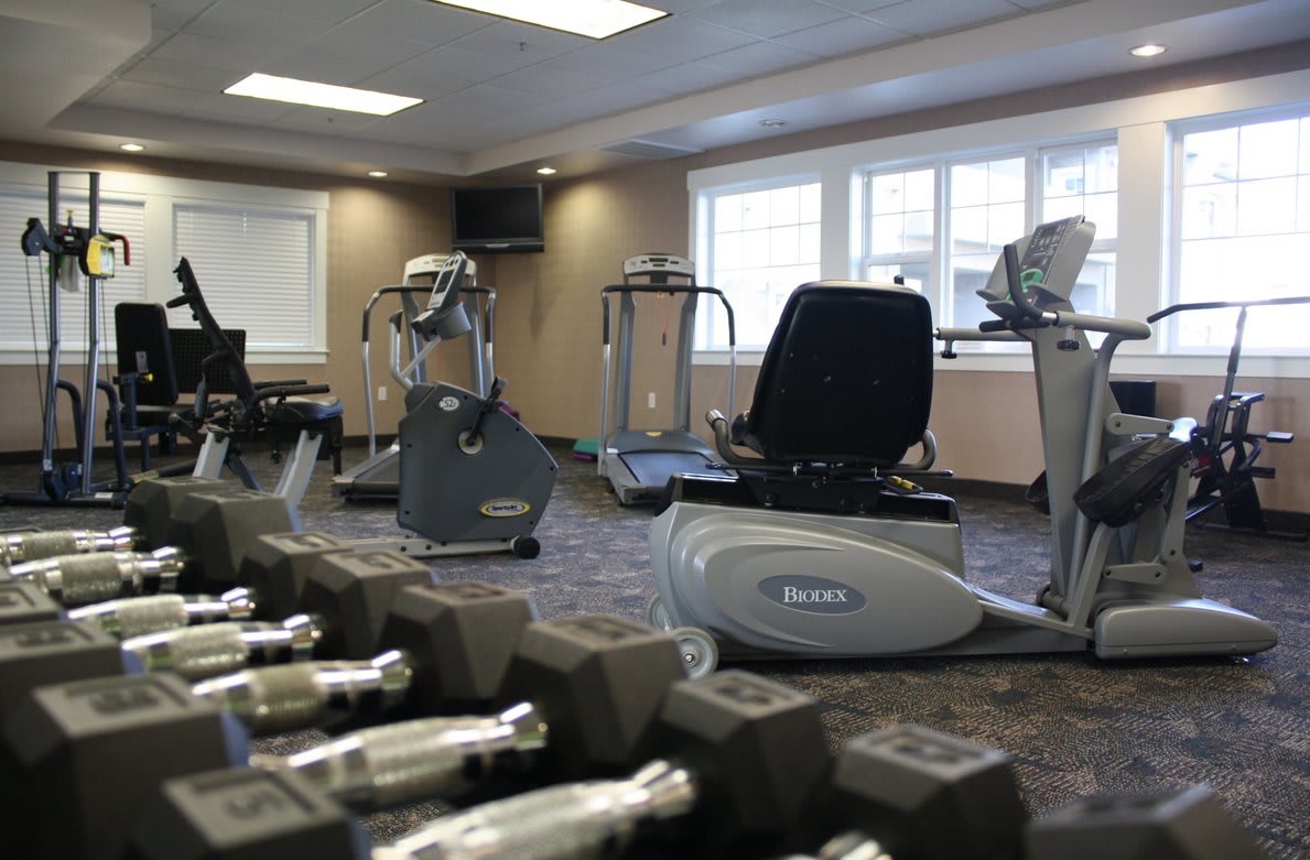 A well-equipped gym with various exercise machines and dumbbells.