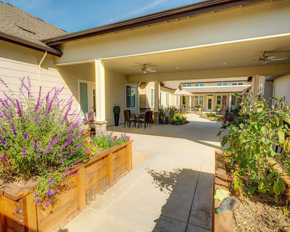 A sunlit walkway lined with planters and greenery.