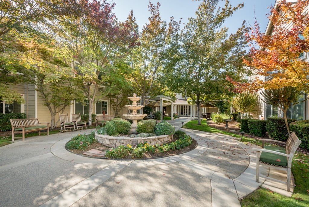A serene garden with a central fountain surrounded by lush trees and a paved walkway.