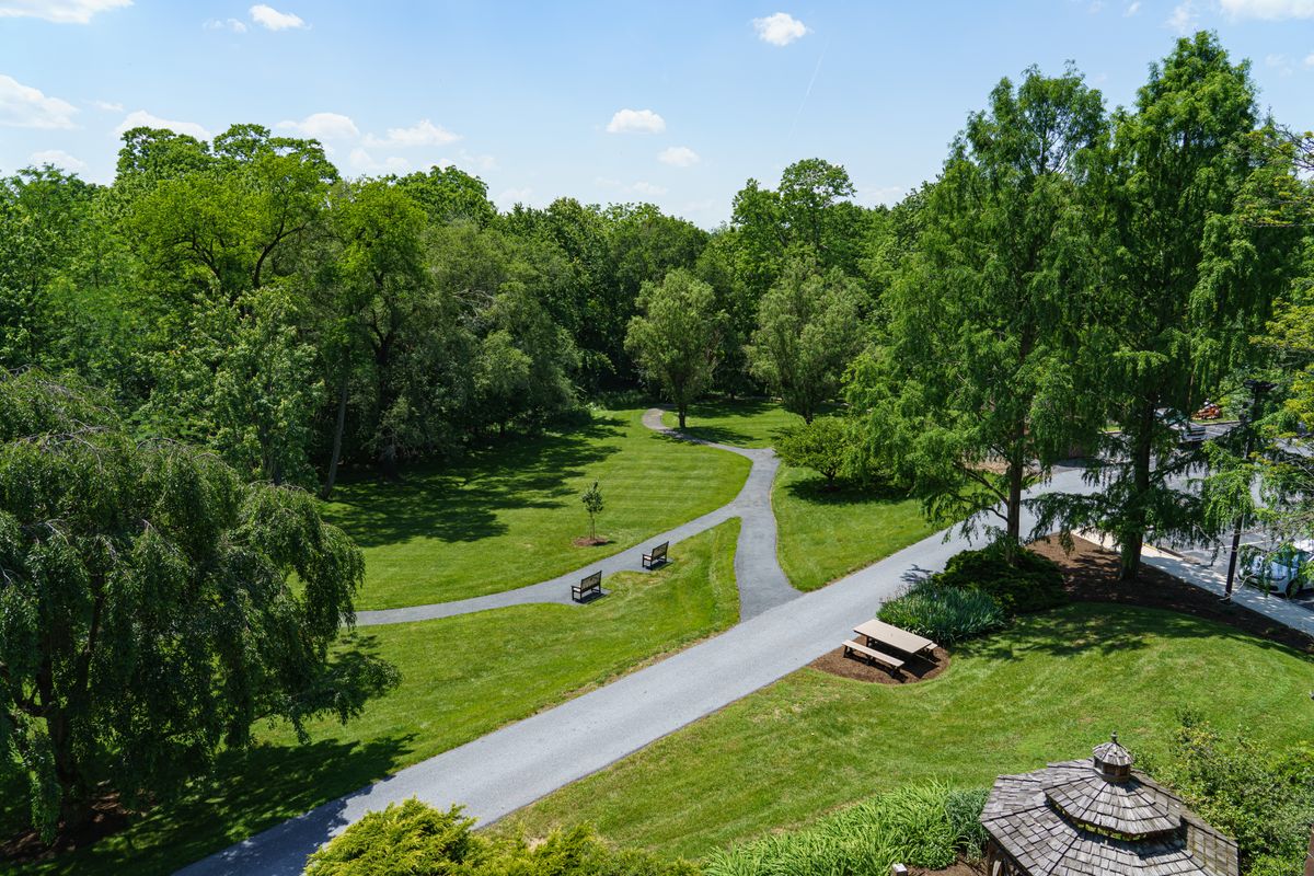 A scenic view of a park with pathways winding through lush greenery and trees.