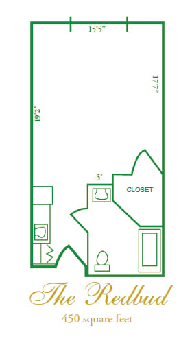 Layout of a studio apartment with a closet and bathroom.