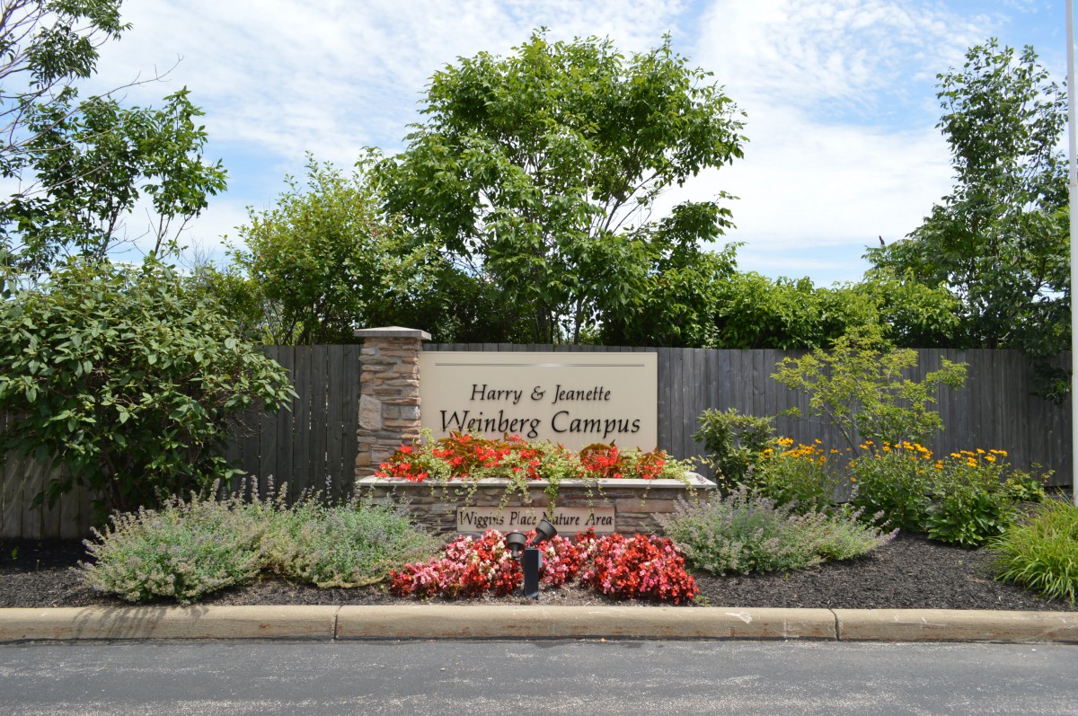 Wiggins Place