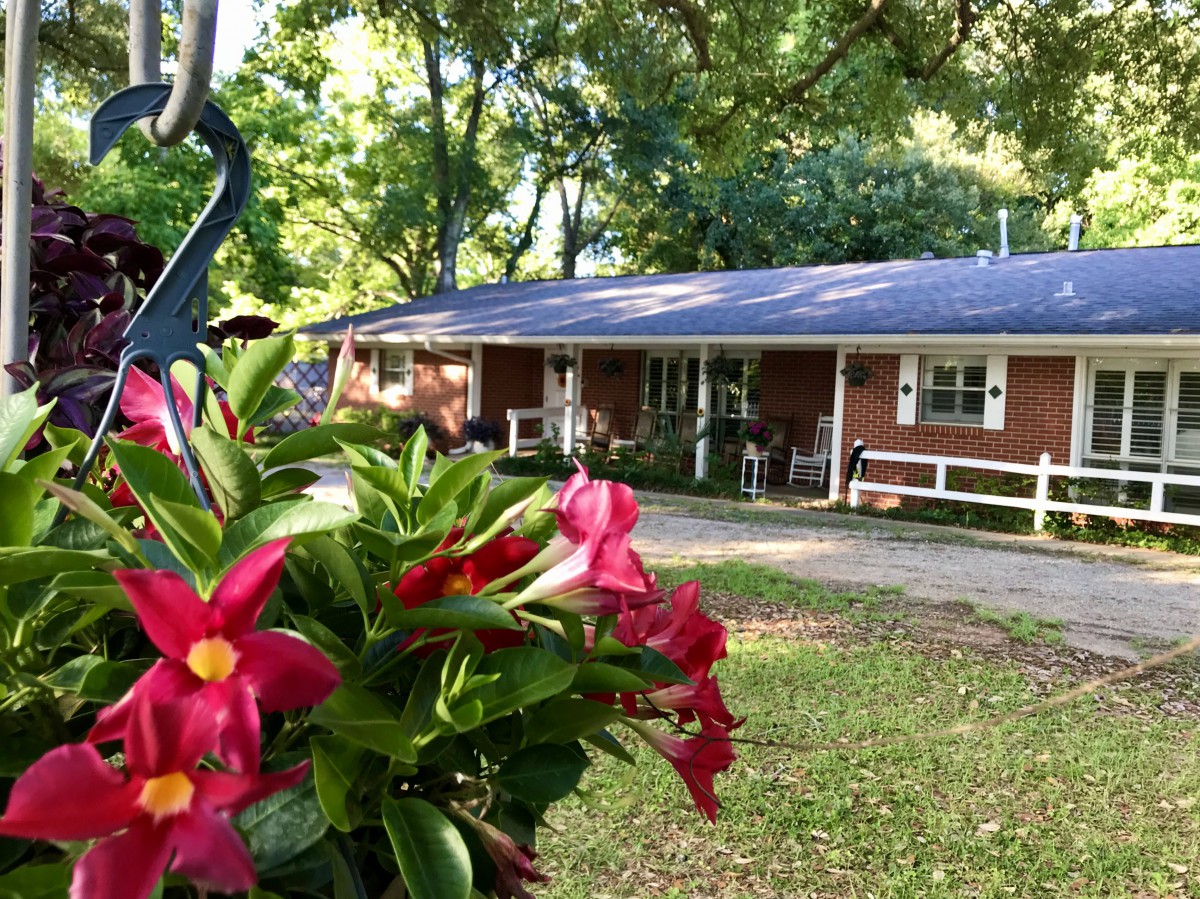 A cozy brick house surrounded by lush greenery and vibrant flowers.