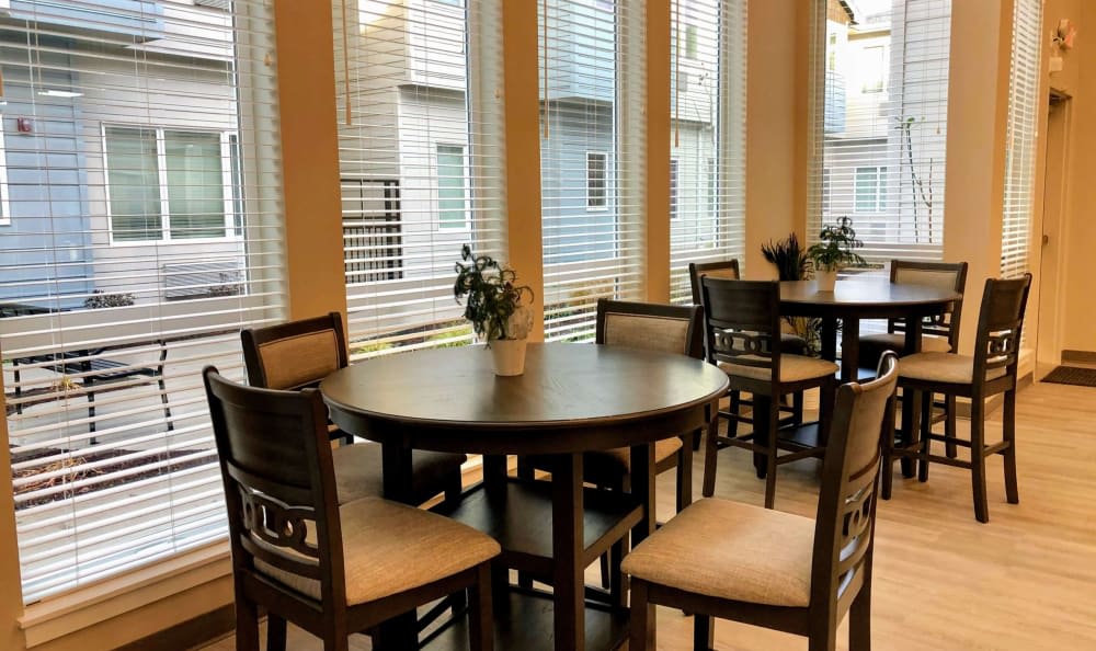 A cozy dining area with round tables and chairs, illuminated by natural light from large windows with blinds.