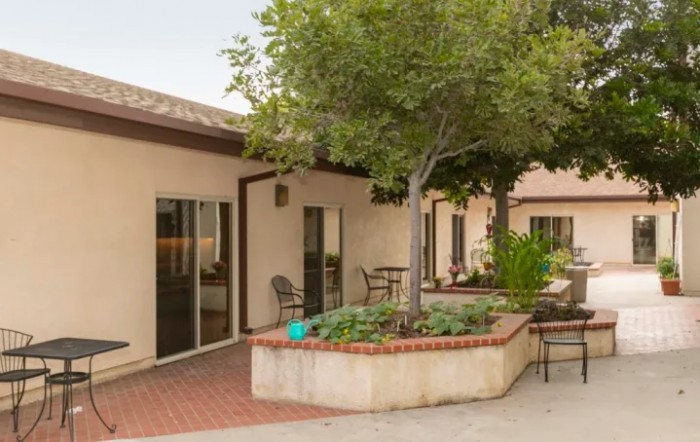 A cozy courtyard with a small garden, featuring trees, patio furniture, and adjacent building walls.