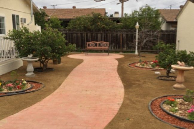 A garden with a curved pathway leading to a bench surrounded by plants and greenery.