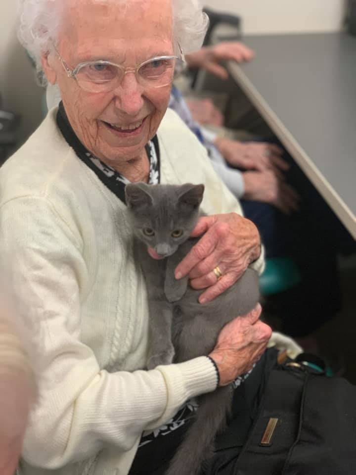 An elderly person holding a cute gray kitten indoors, smiling warmly.