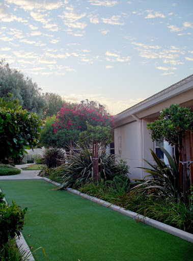 A serene garden pathway surrounded by lush greenery and a clear sky.