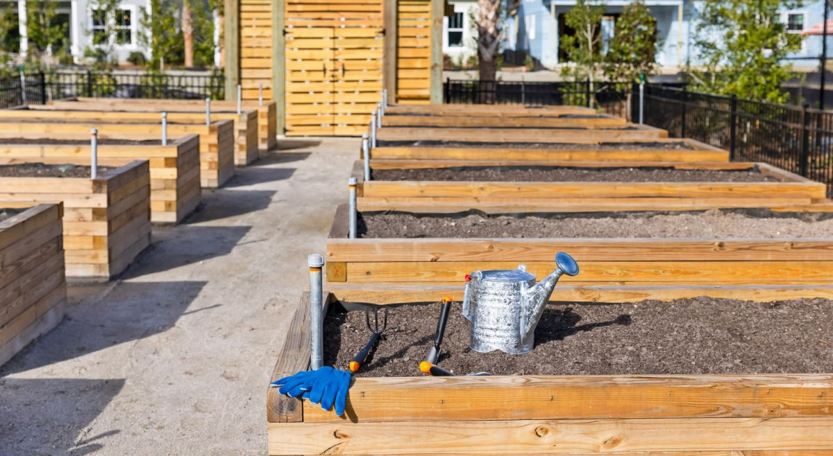 A row of raised garden beds with soil, a watering can, and gardening tools on a sunny day.