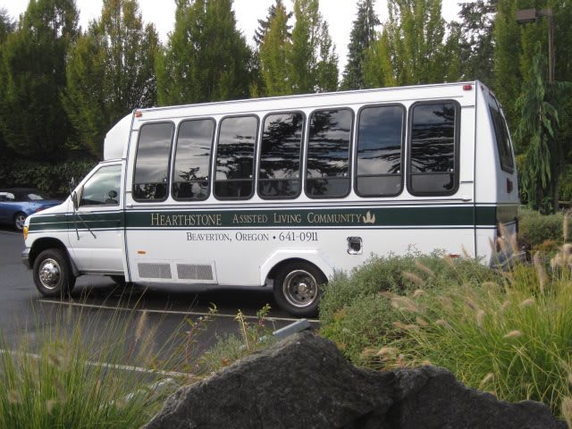 A white minibus parked outdoors surrounded by greenery.