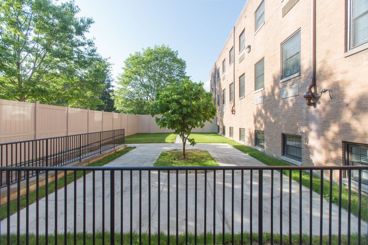 A small courtyard with a tree, surrounded by a fence and adjacent to a building on a sunny day.