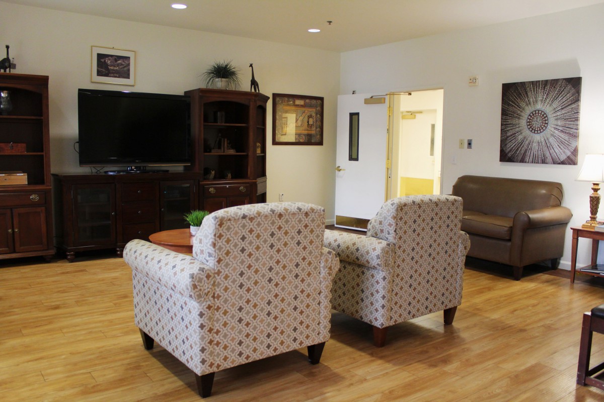 A cozy living room featuring patterned armchairs, a TV, wooden cabinet, and a comfortable sofa on a wood floor.