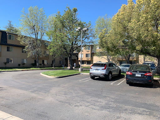 A sunny day in an apartment complex parking lot, featuring several parked cars and lush trees.