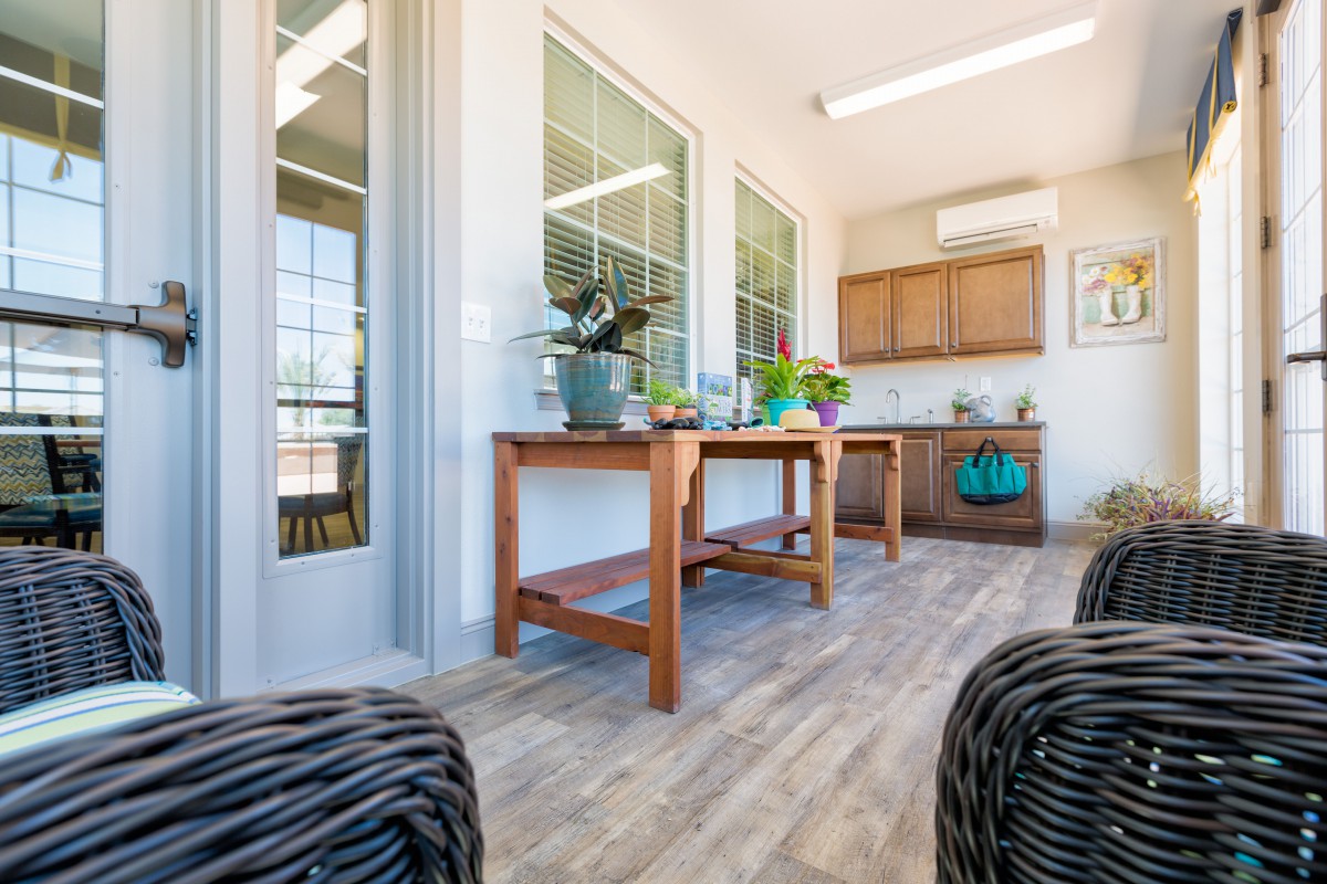 A bright and airy room with wooden floors, large windows, and tables adorned with potted plants.