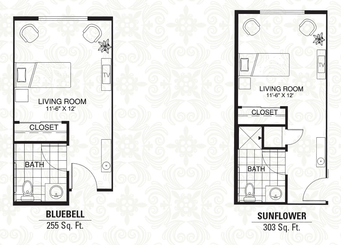 Comparison of two studio apartment floor plans: Bluebell (320 sq. ft.) and Sunflower (300 sq. ft.).