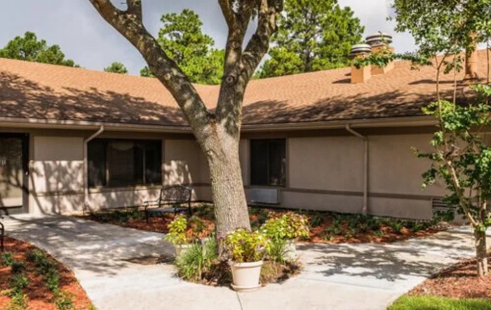 A small house with a sloped roof surrounded by a garden and a large tree in the courtyard.