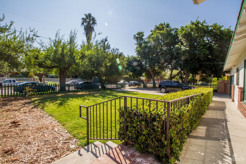 A sunny day in a park-like area with trees, grass, and parked vehicles.