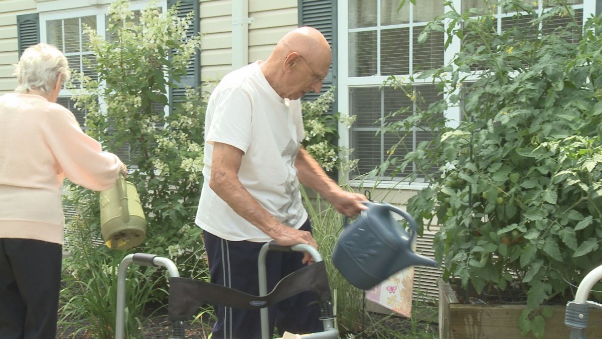 An elderly person is watering plants outdoors using a walker.